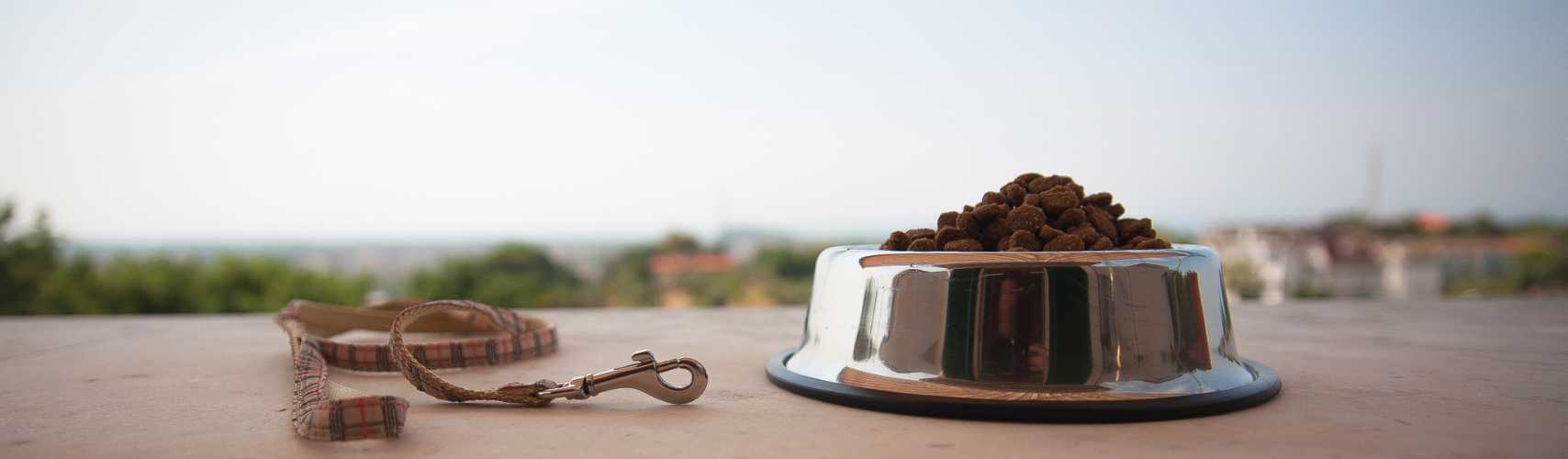 avis croquettes chien royal canin