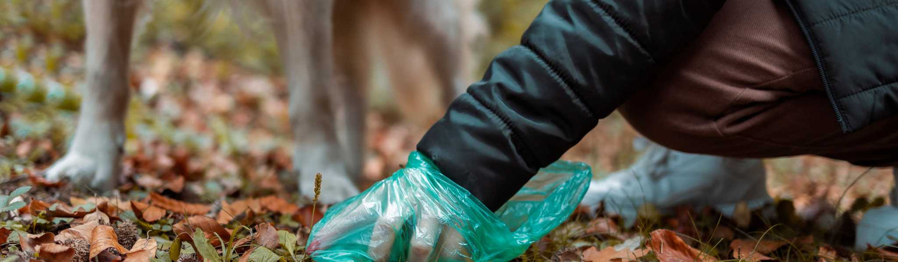 comment empêcher un chien de manger ses crottes