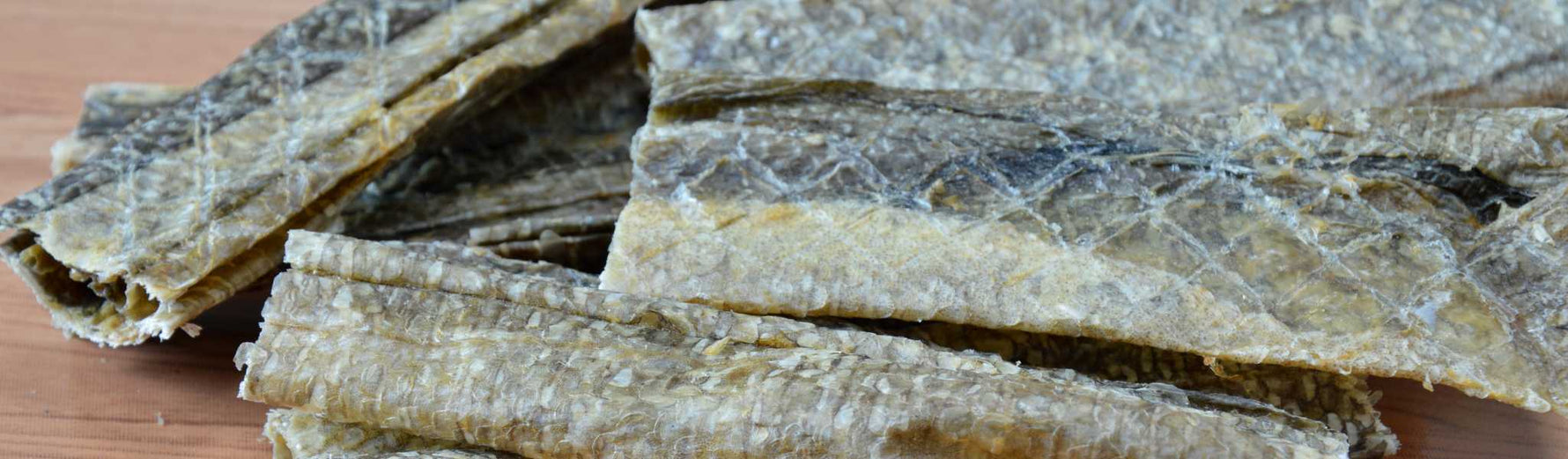 peau de saumon pour chien