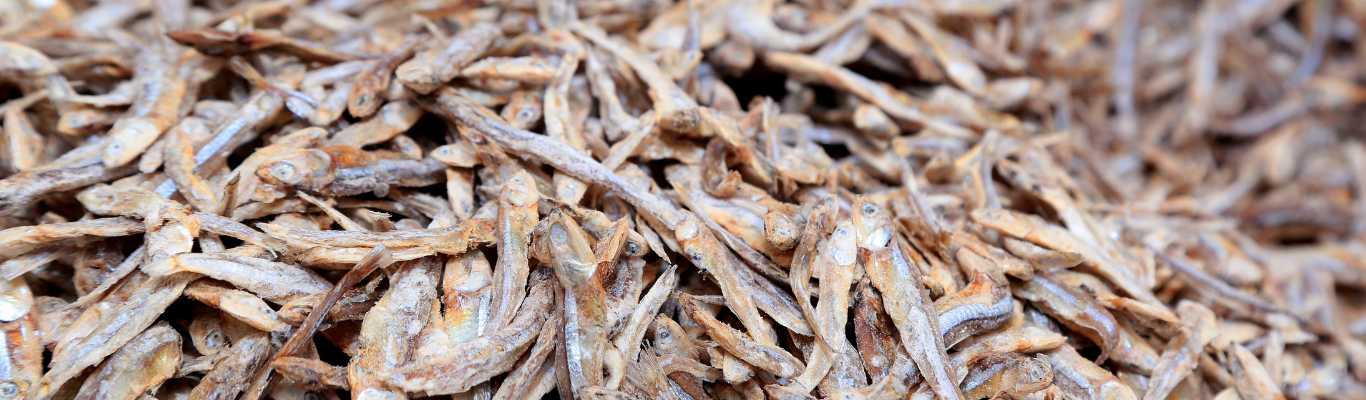 sprats séchés pour chien