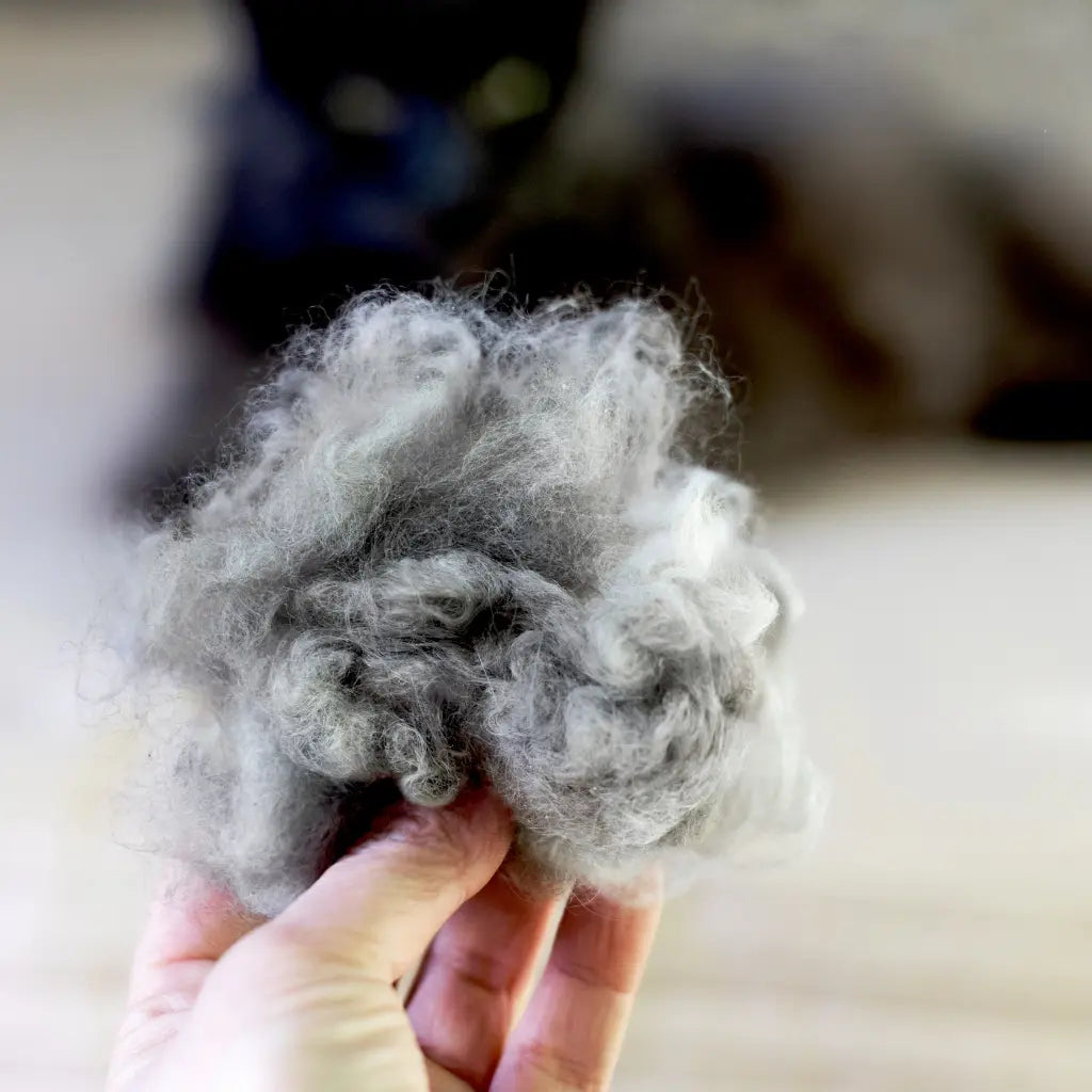 Produits Anti Boules de Poils pour Chat