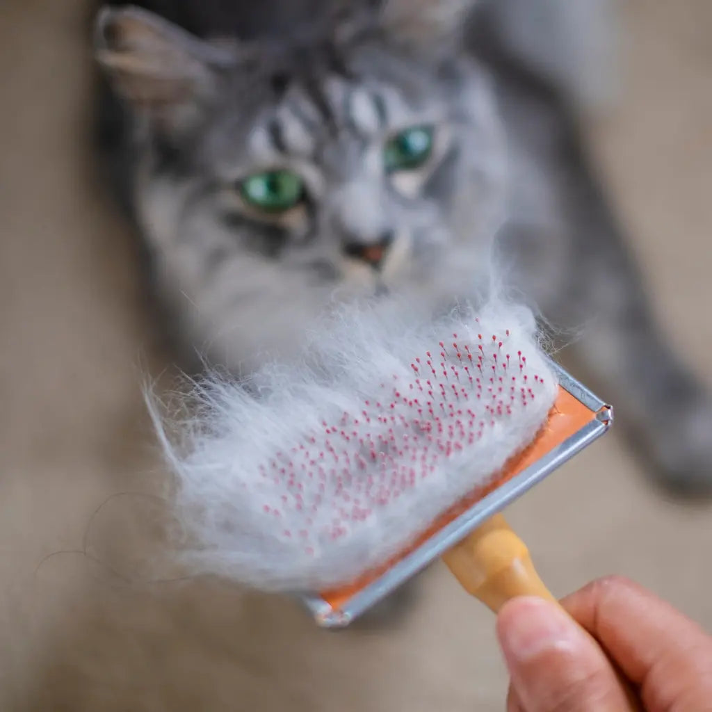 Brosses pour Chat