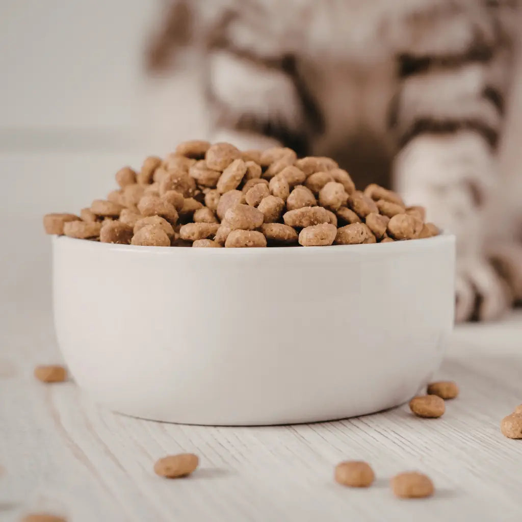 Croquettes Chat Stérilisé