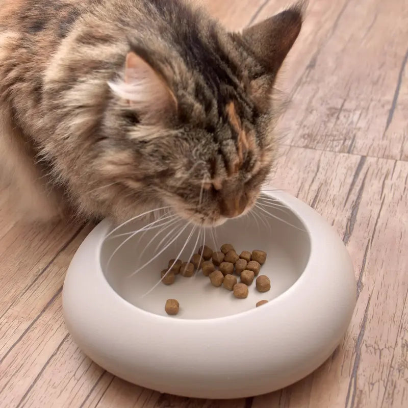 Croquettes Sans Céréales Chat