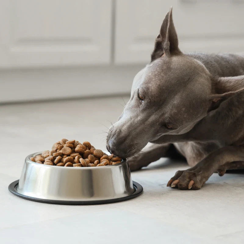 Alimentation Faible en Glucides pour Chien