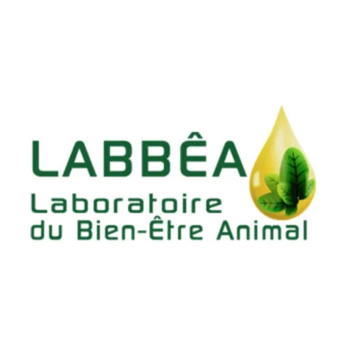 Labbea Buccanima