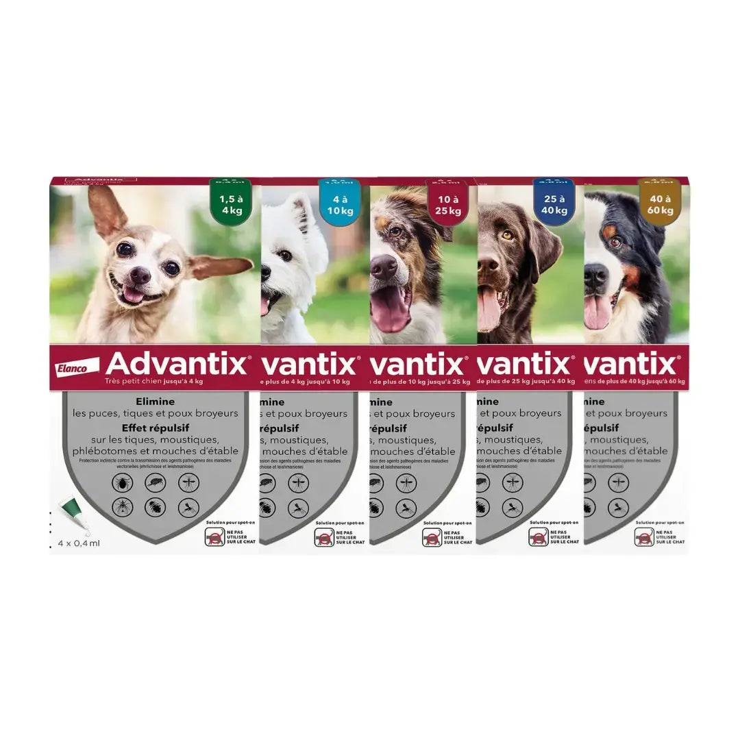 Pipette advantix pour chien efficace contre les puces, tiques, poux, moustiques et phlébotomes