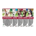 Pipette advantix pour chien efficace contre les puces, tiques, poux, moustiques et phlébotomes