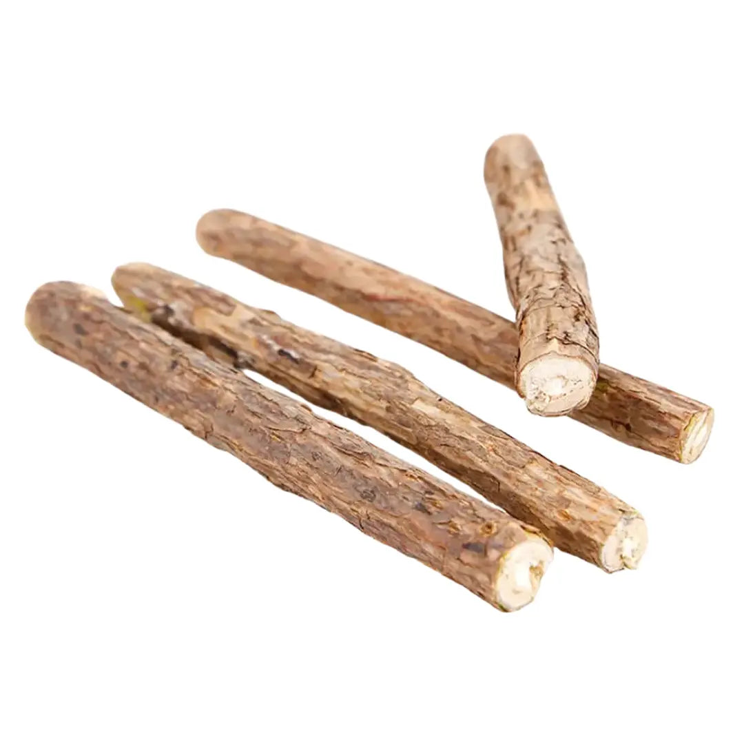 Bâtonnets de Matatabi Chat Cernunos