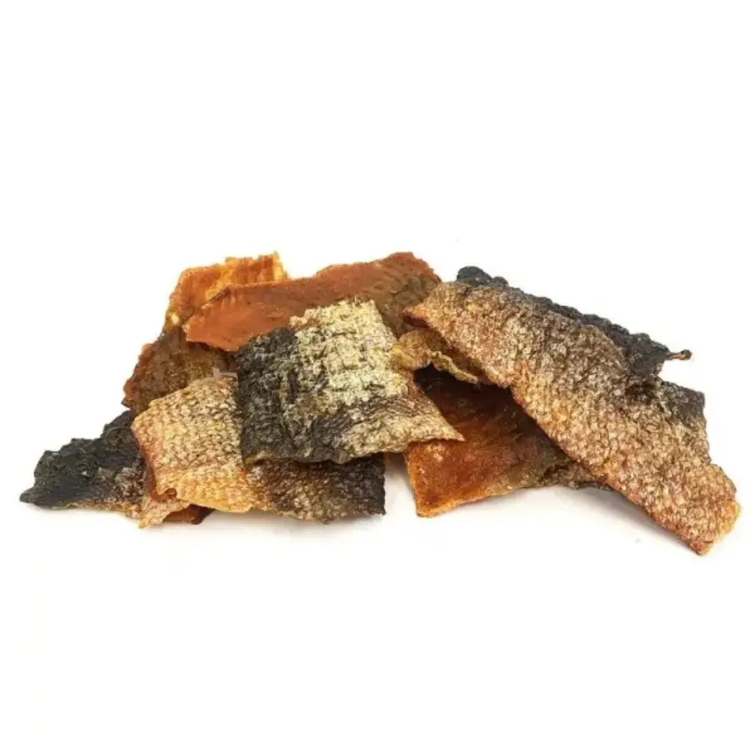 Morceau de peau de saumon séchée pour chien Cernunos