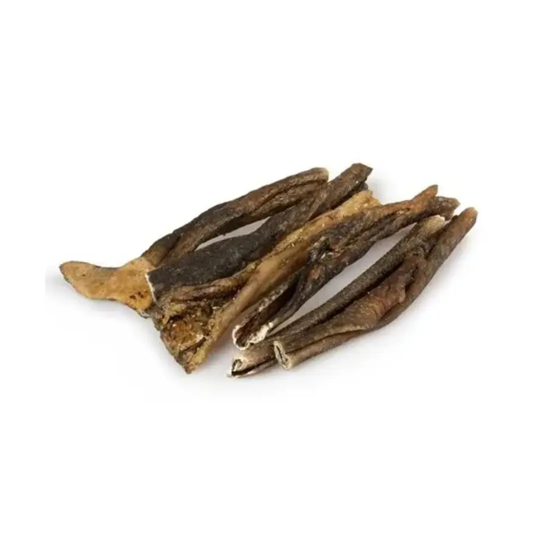 peau de cerf pour chien cernunos