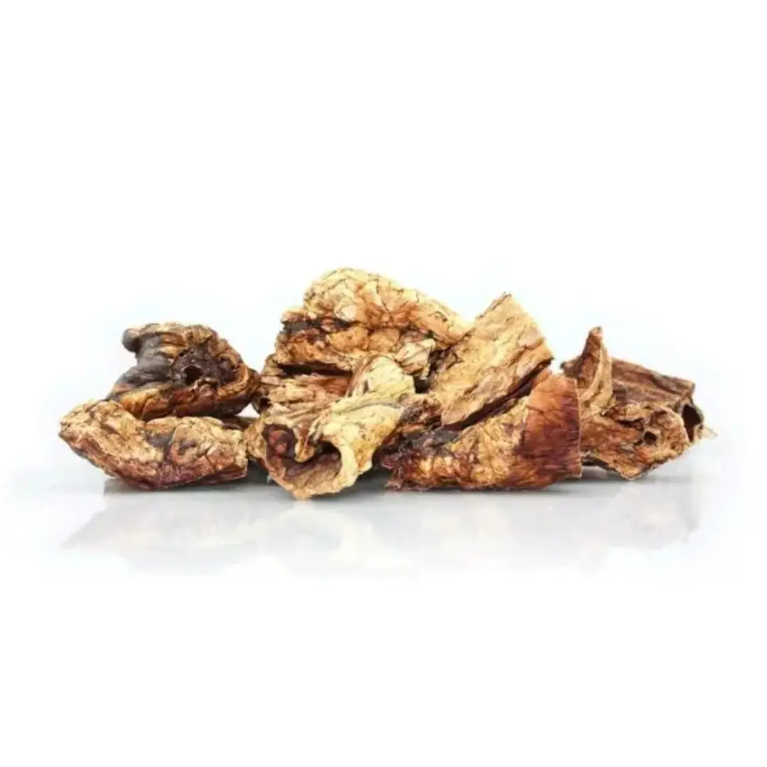 poumon de boeuf pour chien