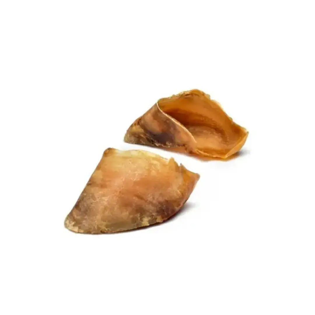 sabot de boeuf pour chien