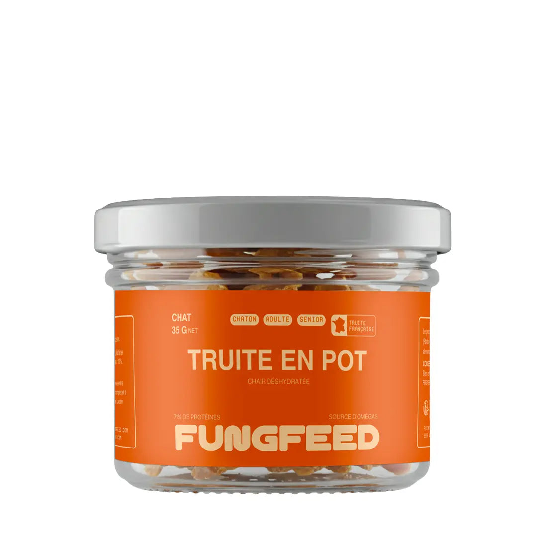 Chair de Truite Friandises Fungfeed Chat