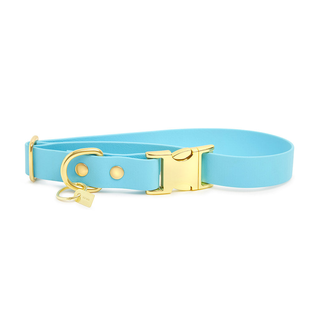 Pop Dog Collier Chien Bleu Dragueur