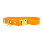 Pop Dog Collier Chien Pêche Pitchoune