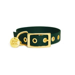 Pop Dog Collier œillets Chien Vert Elégant