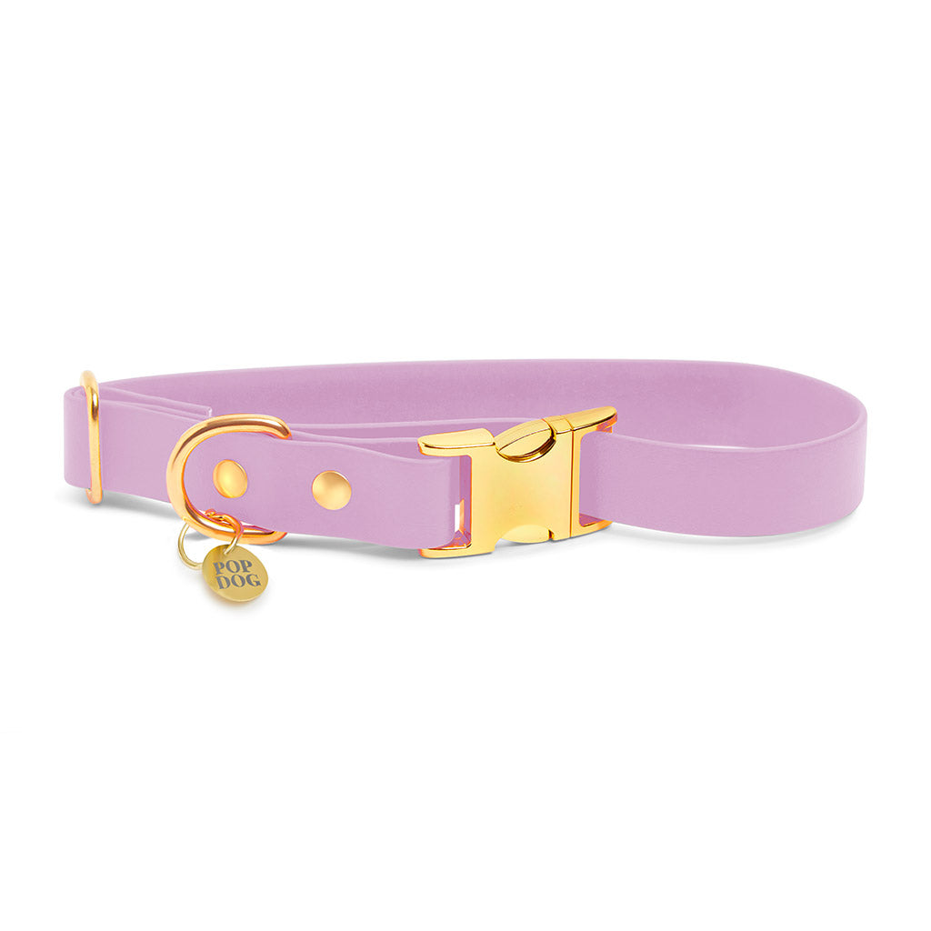 Pop Dog Collier Chien Violet Tout Doux