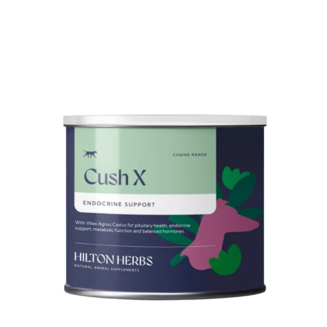 Cush X Chien Hilton Herbs