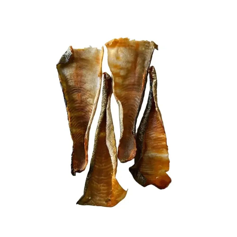 Peaux de Truite Friandises Fungfeed Chien