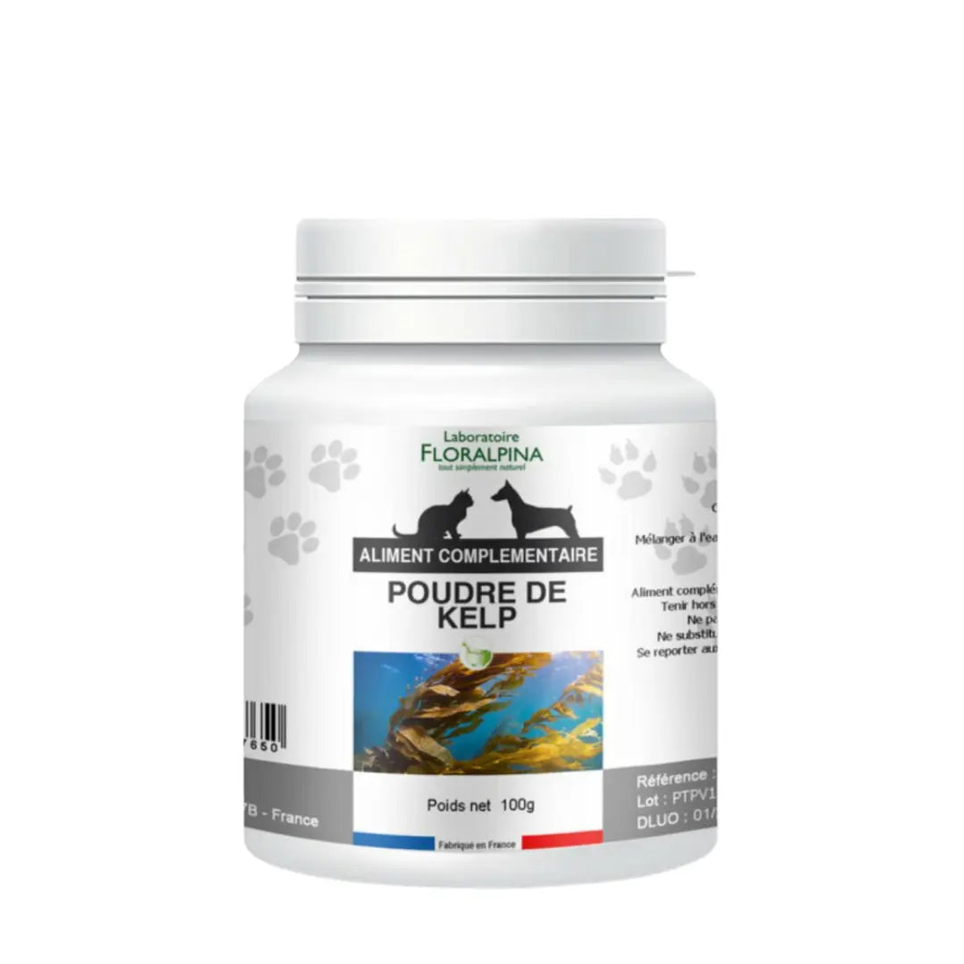 Poudre de Kelp Immunité Floralpina