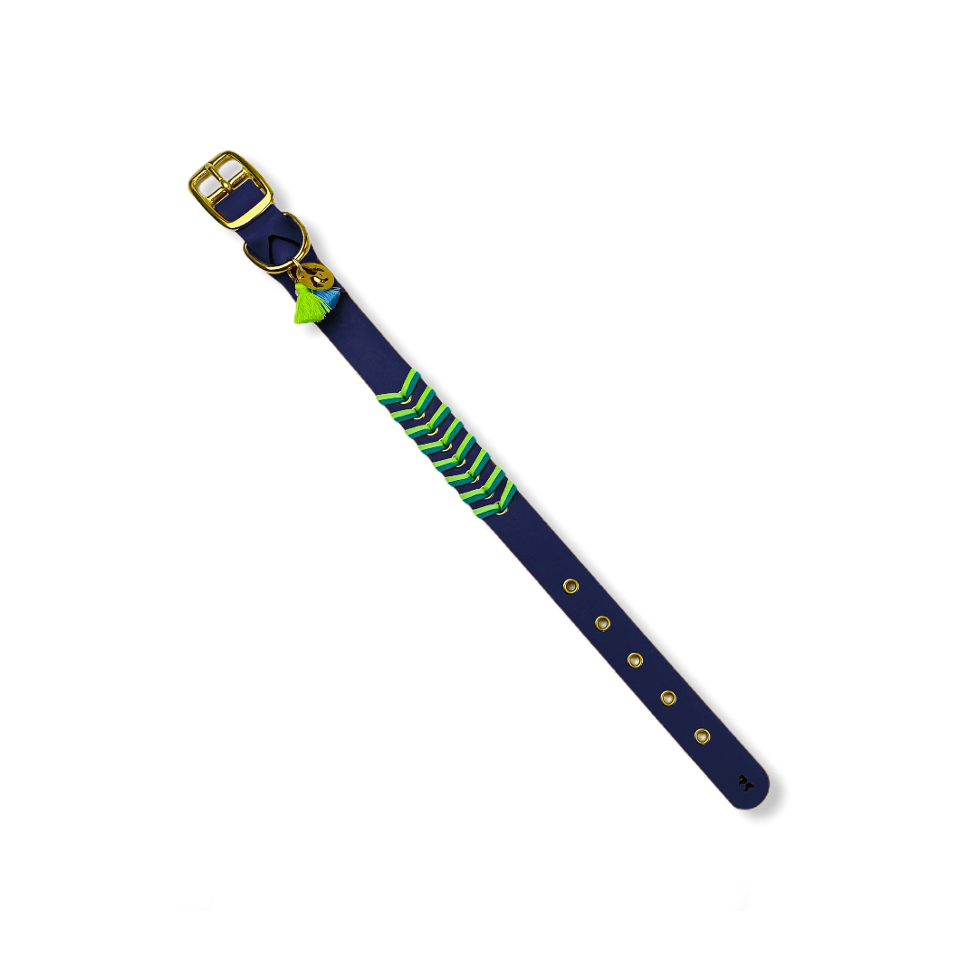 Mars & Storm Chien Collier Seattle Green fusion Bleu marine