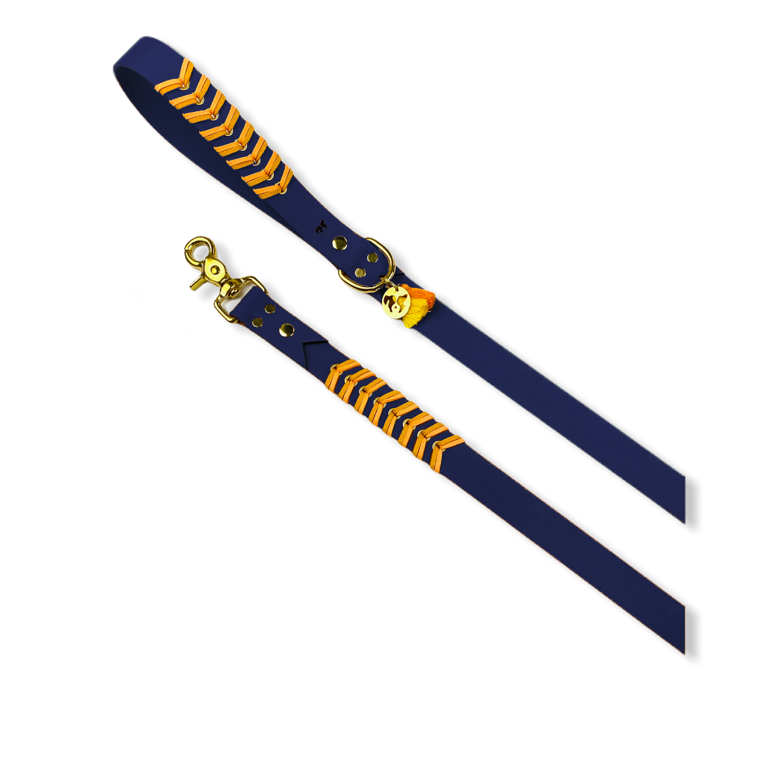 Mars & Storm Chien Laisse Seattle Orange pep's Bleu marine