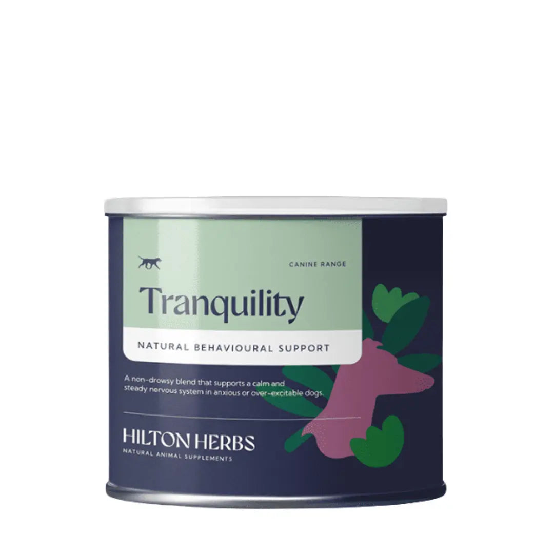 Tranquility Chien Hilton Herbs