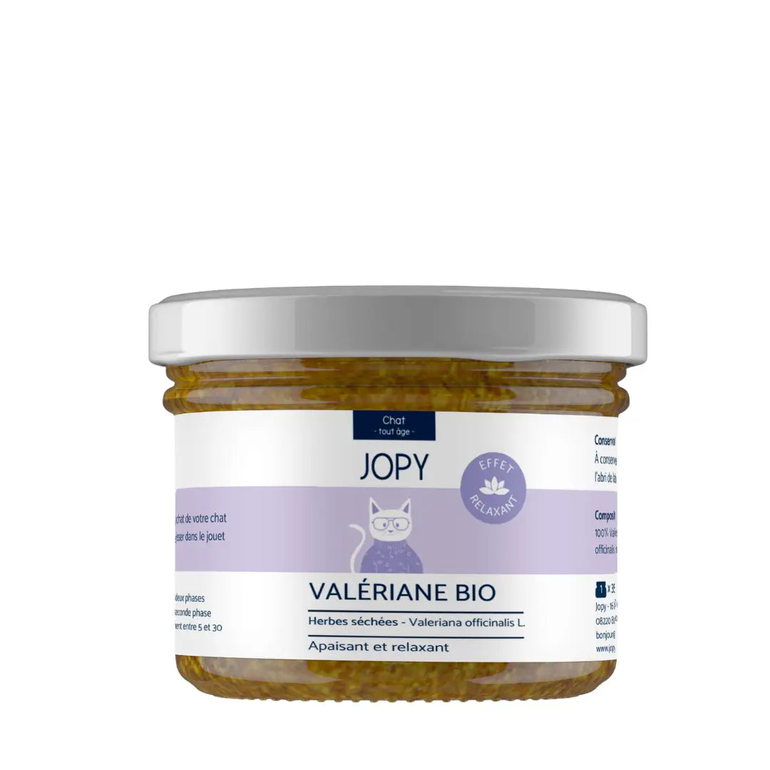Valériane Séchée Jopy pour Chat