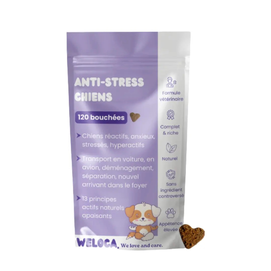 Weloca complément anti-stress chien