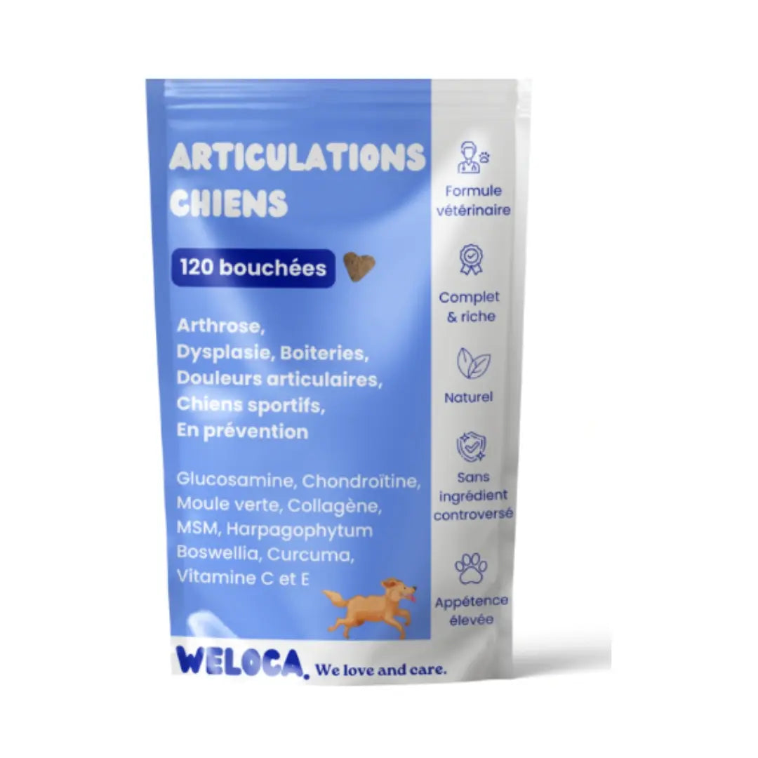 Weloca complément arthrose chien