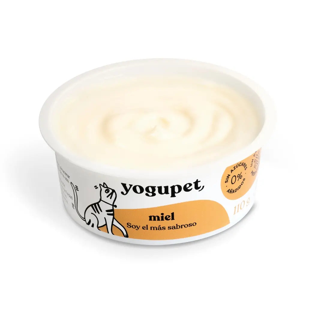 Yaourt pour chat sans lactose au miel Yogupet