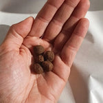 Croquettes Hypoallergéniques Fungfeed Chien
