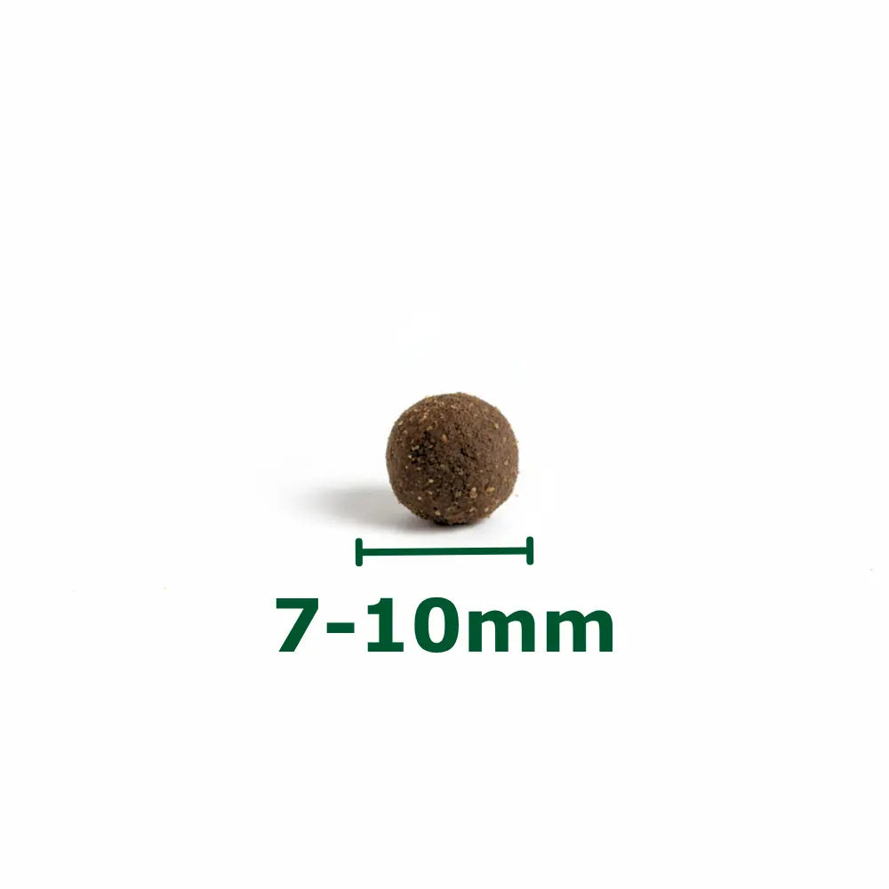 Croquettes Hypoallergénique Fungfeed Chat