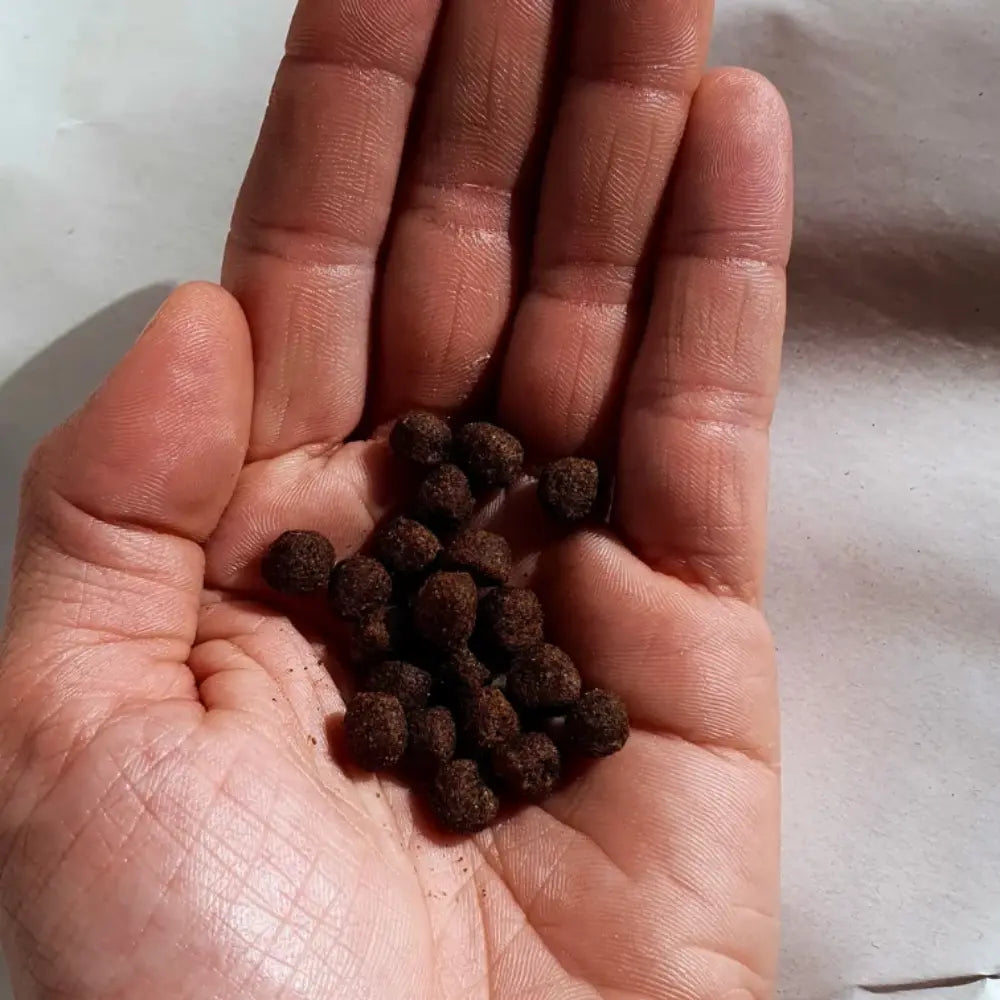Croquettes Hypoallergénique Fungfeed Chat