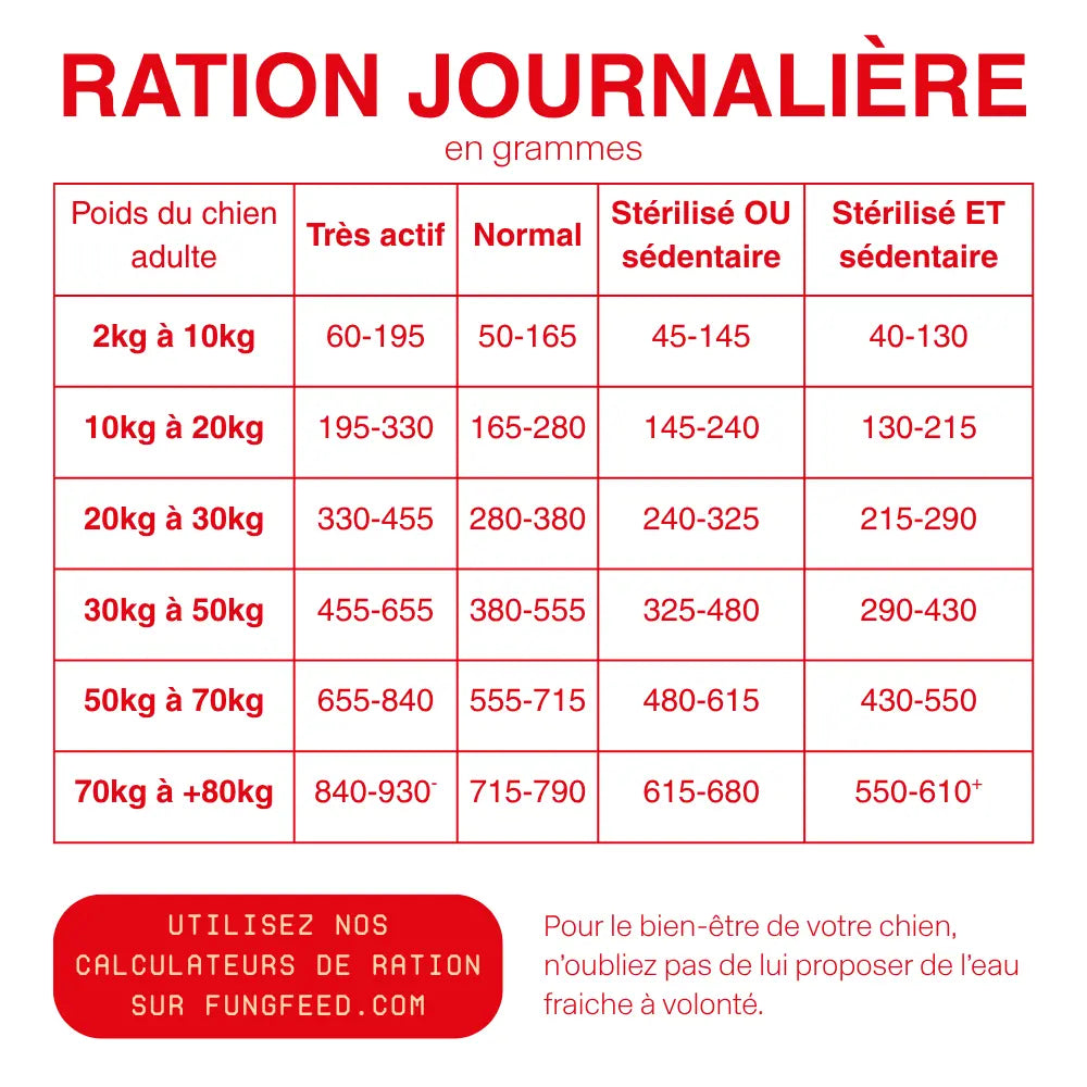 Croquettes Hypoallergéniques Fungfeed Chien