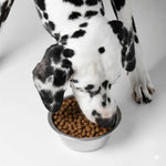 Croquettes Hypoallergéniques Fungfeed Chien