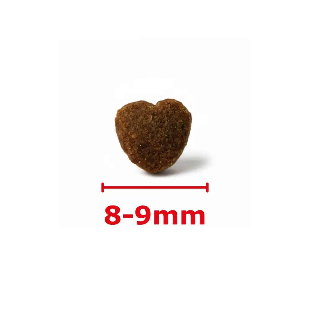 Friandises Hypoallergéniques Fungfeed Chien