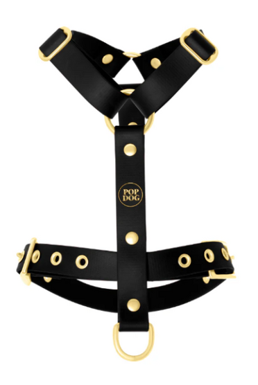harnais noir pour chien chiens goodbro collier laisse pop dog