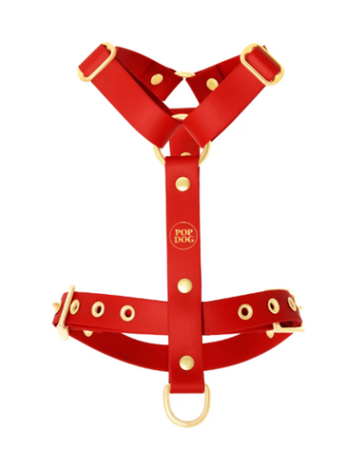 harnais rouge pour chien chiens goodbro collier laisse pop dog