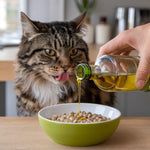 Huile de Truite Omega Plus Jopy Chat
