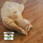 Cataire Bio Séchée Jopy pour Chat