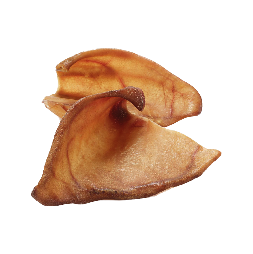 Oreilles de porc Wolfood : friandise à mâcher naturelle pour chien