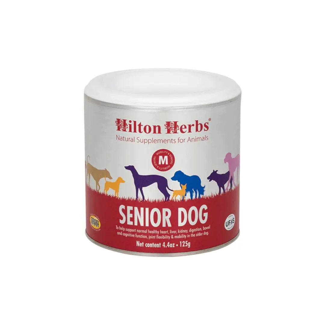senior dog hilton herbs
