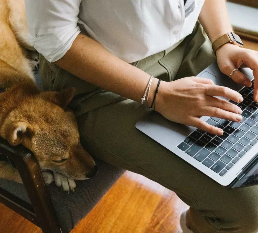 Femme devant son ordinateur avec son chien
