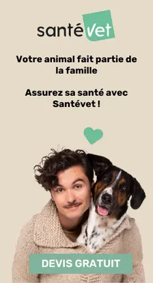 Goodbro x SantéVet