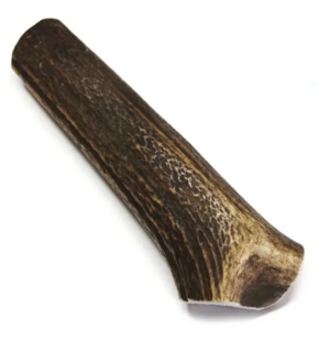Bois de cerf pour chien entier - Cernunos