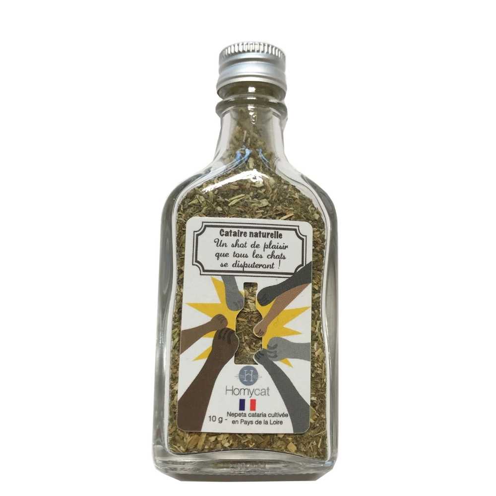 Meilleurs prix pour Fiole Cataire Herbe à chat Homycat