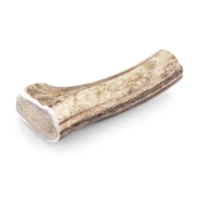 Bois de cerf pour chien entier - Cernunos