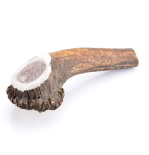 Bois de cerf pour chien entier - Cernunos